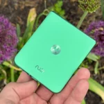 Motorola Razr 2025 màu Xanh Spring Bud đặt cạnh hoa