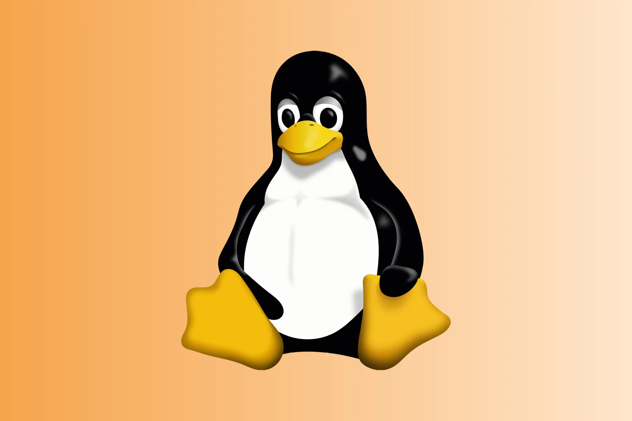 Biểu tượng chim cánh cụt Tux đại diện cho hệ điều hành Linux, biểu tượng của tự do phần mềm.