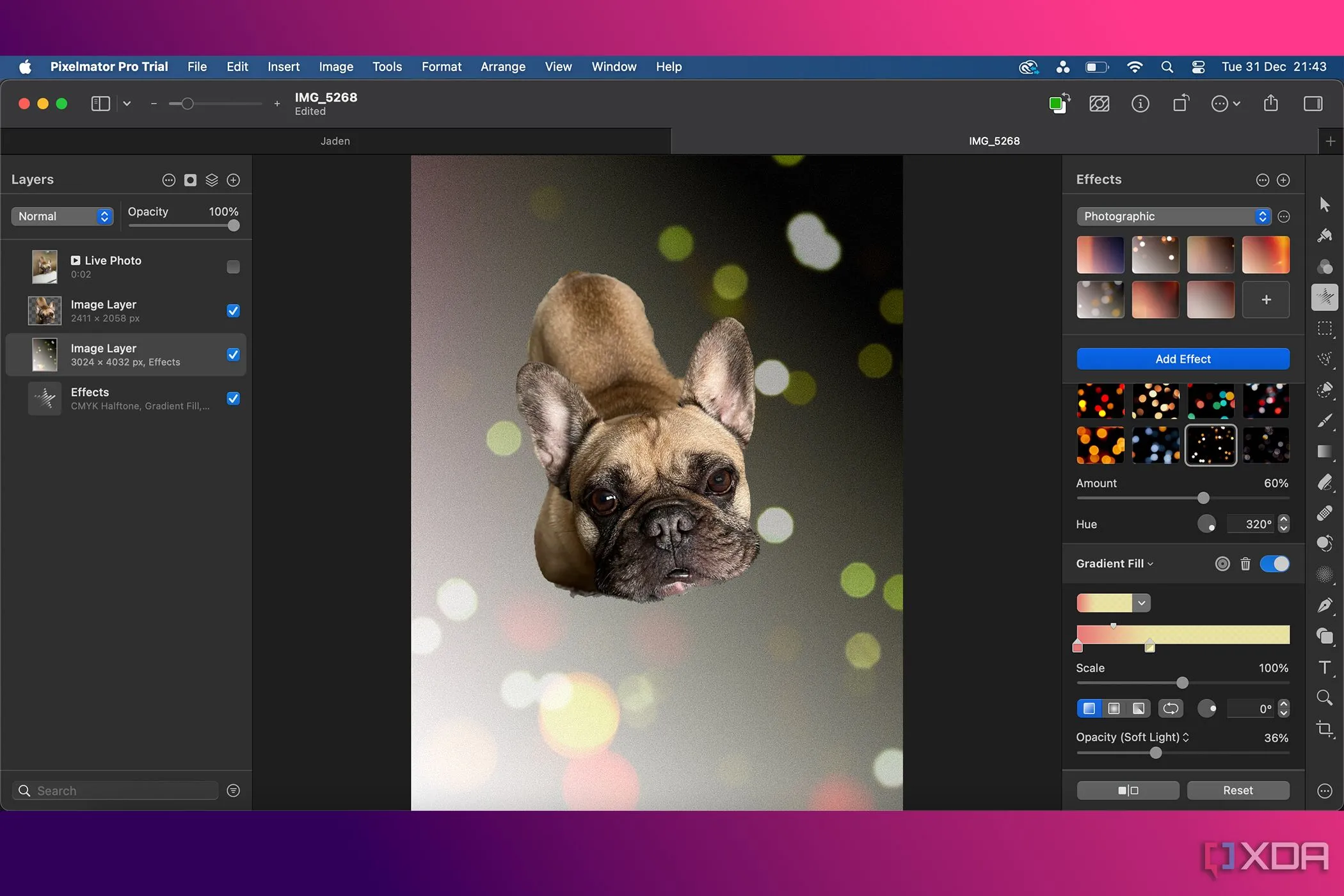 Hiệu ứng Bokeh được tạo bằng tính năng AI của Pixelmator Pro