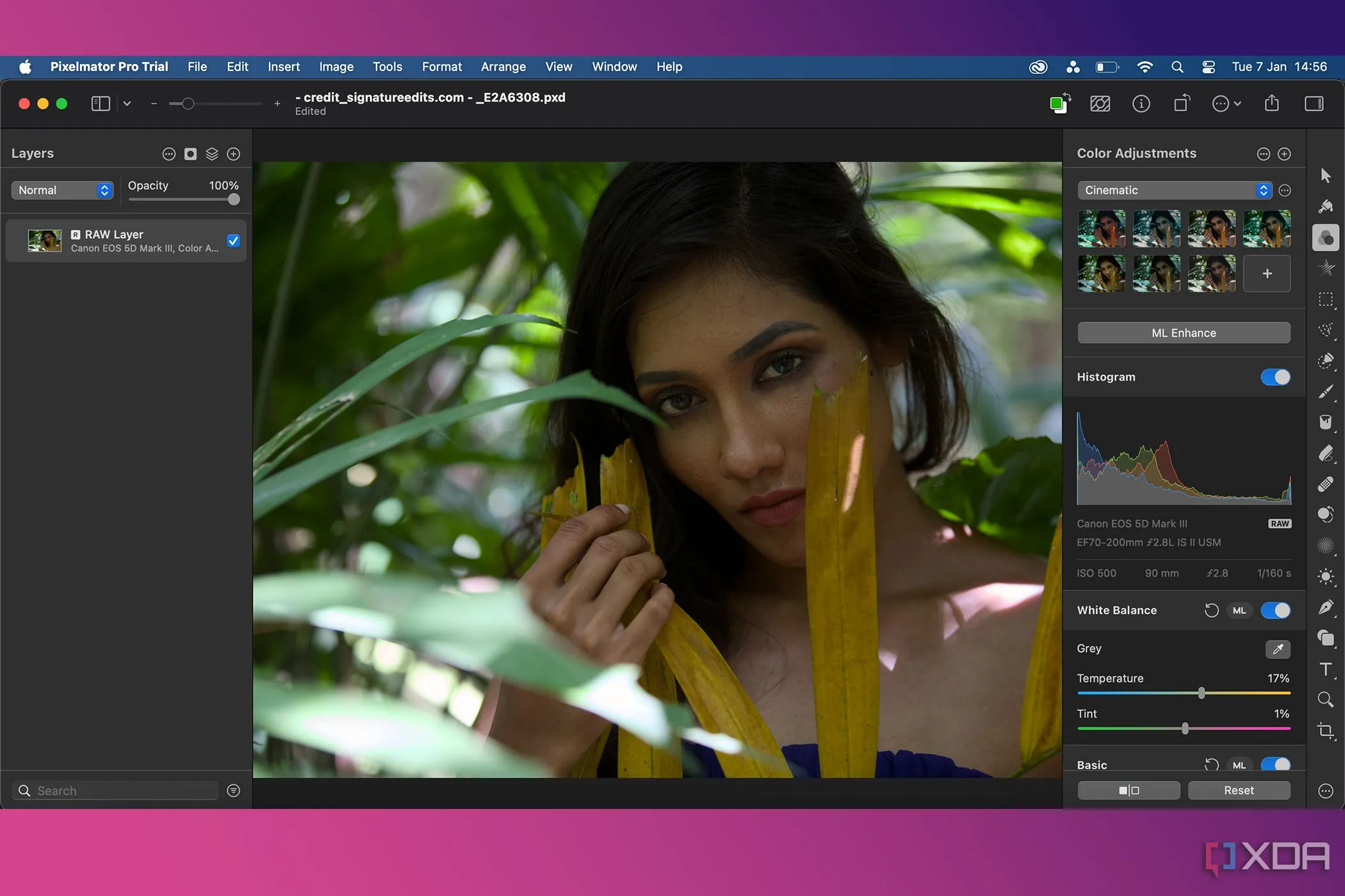 Màn hình chỉnh sửa ảnh RAW trong Pixelmator Pro