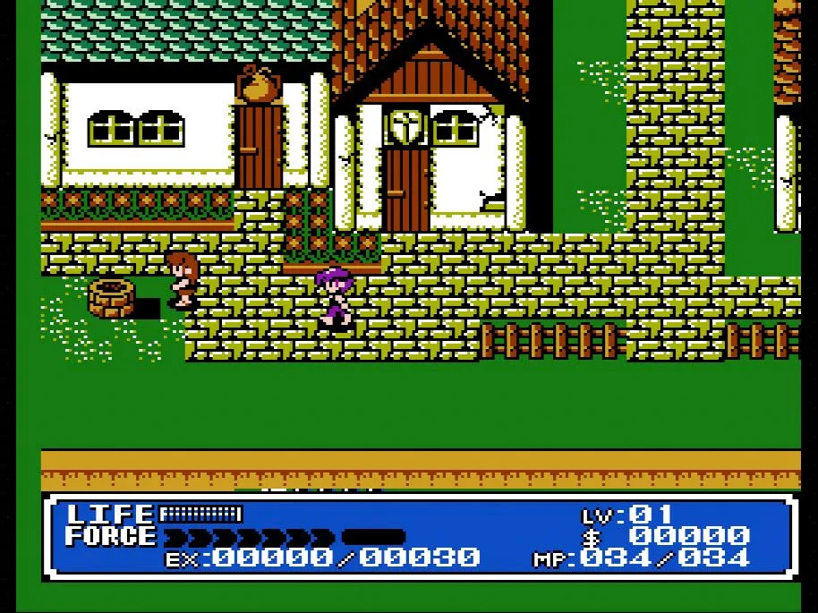 Ảnh chụp màn hình game Crystalis trên hệ máy NES