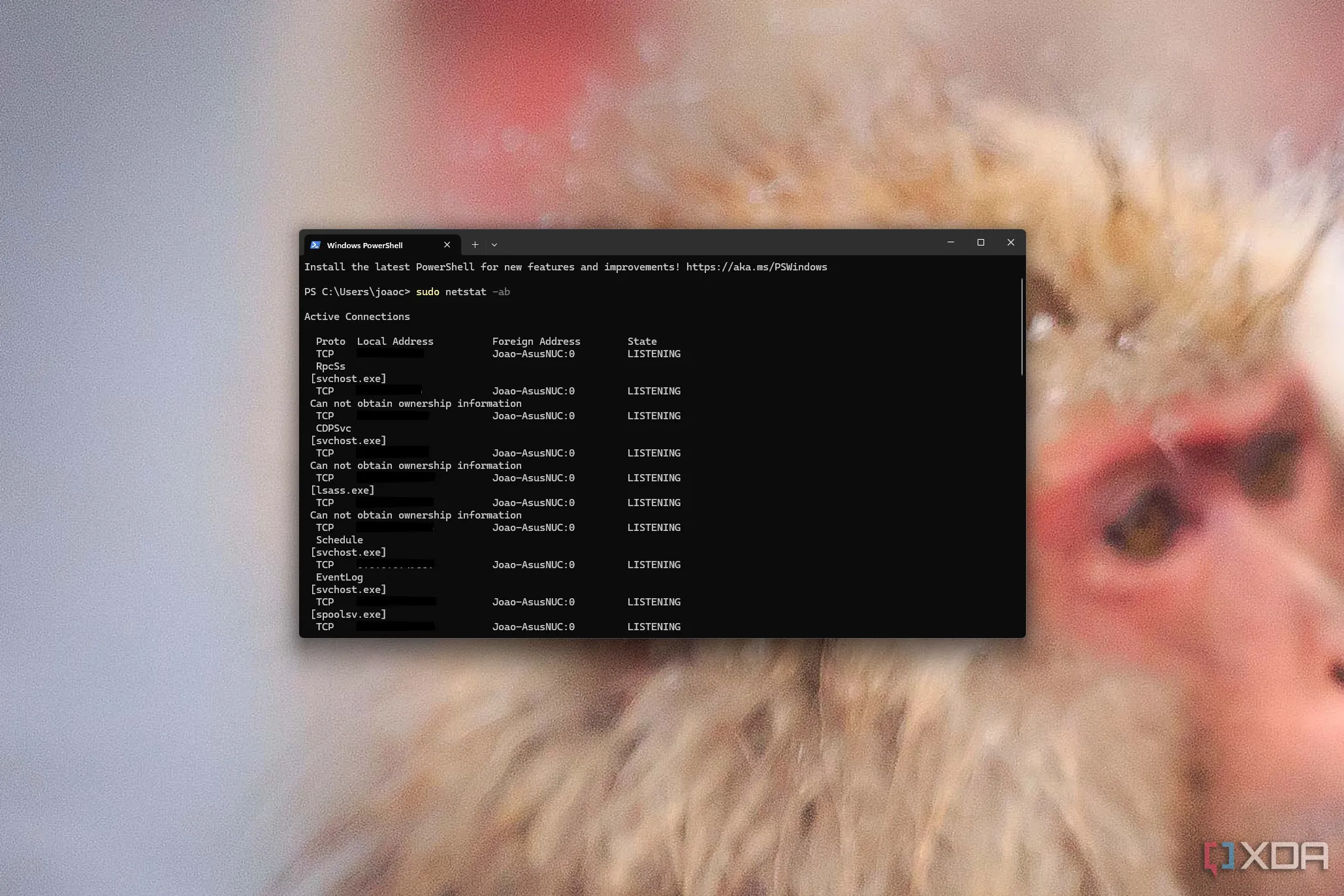 Ảnh chụp màn hình Windows Terminal đang chạy lệnh sudo với quyền quản trị trong môi trường WSL