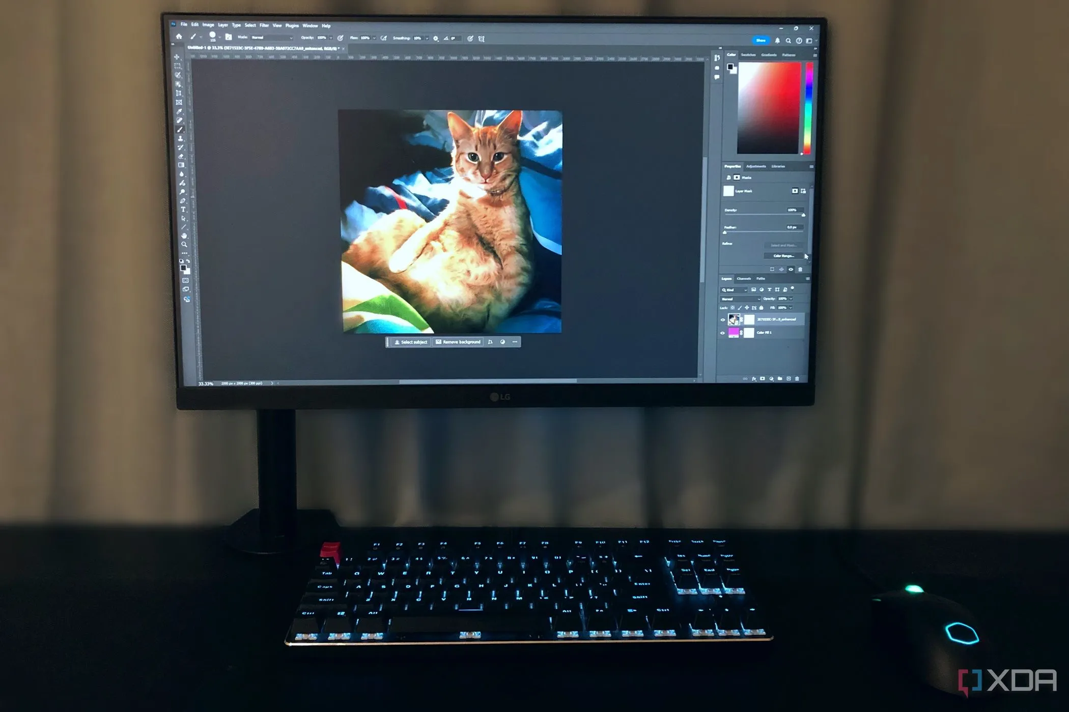Chỉnh sửa ảnh mèo vàng trong Photoshop trên máy tính, minh họa việc tạo mask