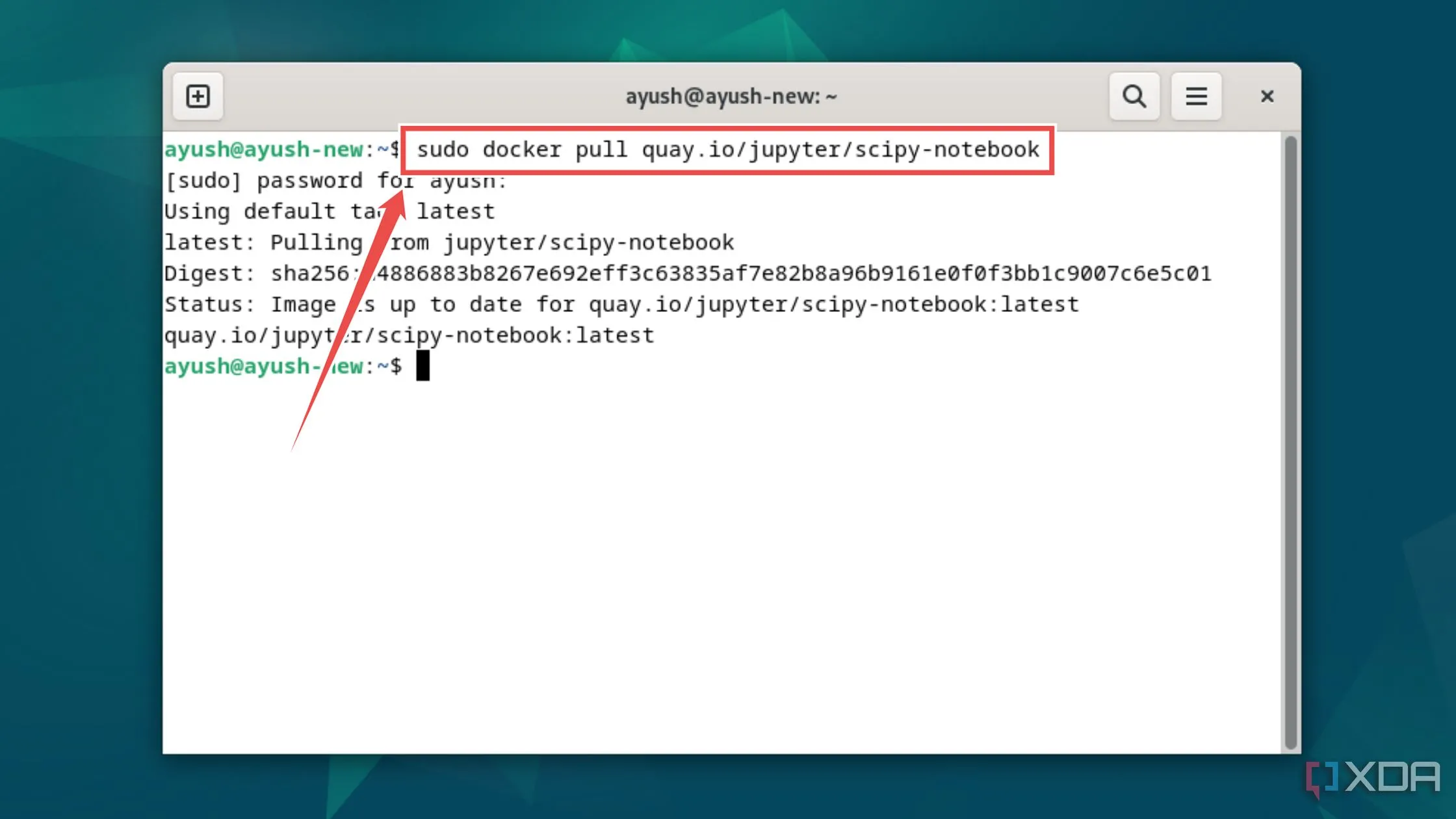 Cửa sổ terminal hiển thị quá trình thực thi lệnh 'docker pull quay.io/jupyter/scipy-notebook' để tải hình ảnh Jupyter Notebook.