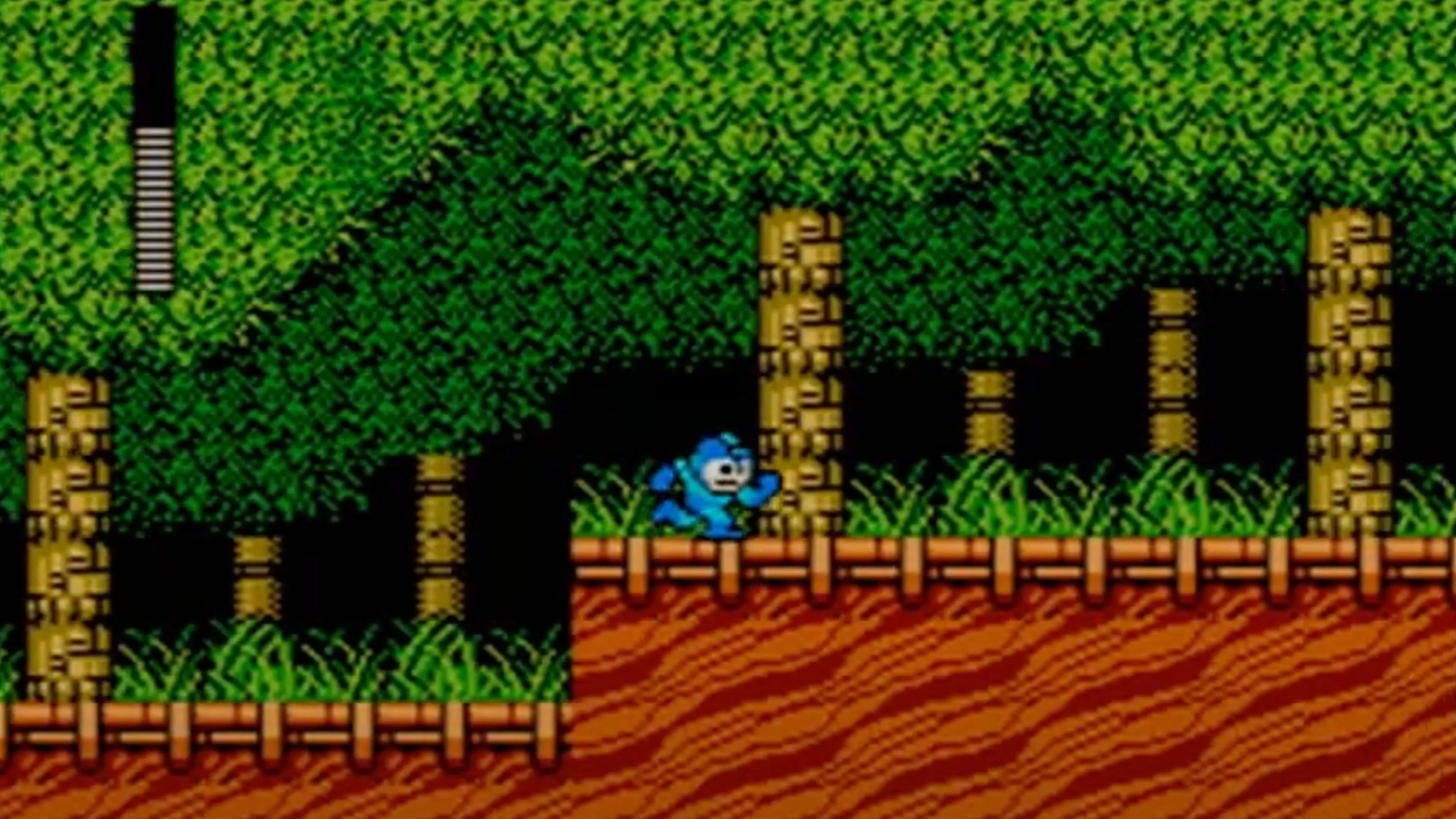 mega-man-2-in-game-screenshot-5.jpg