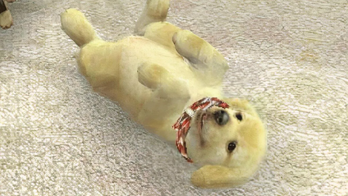 Một chú chó Golden Retriever con đáng yêu trong game Nintendogs, biểu tượng cho trải nghiệm nuôi thú cưng ảo chân thực trên Nintendo Switch 2.