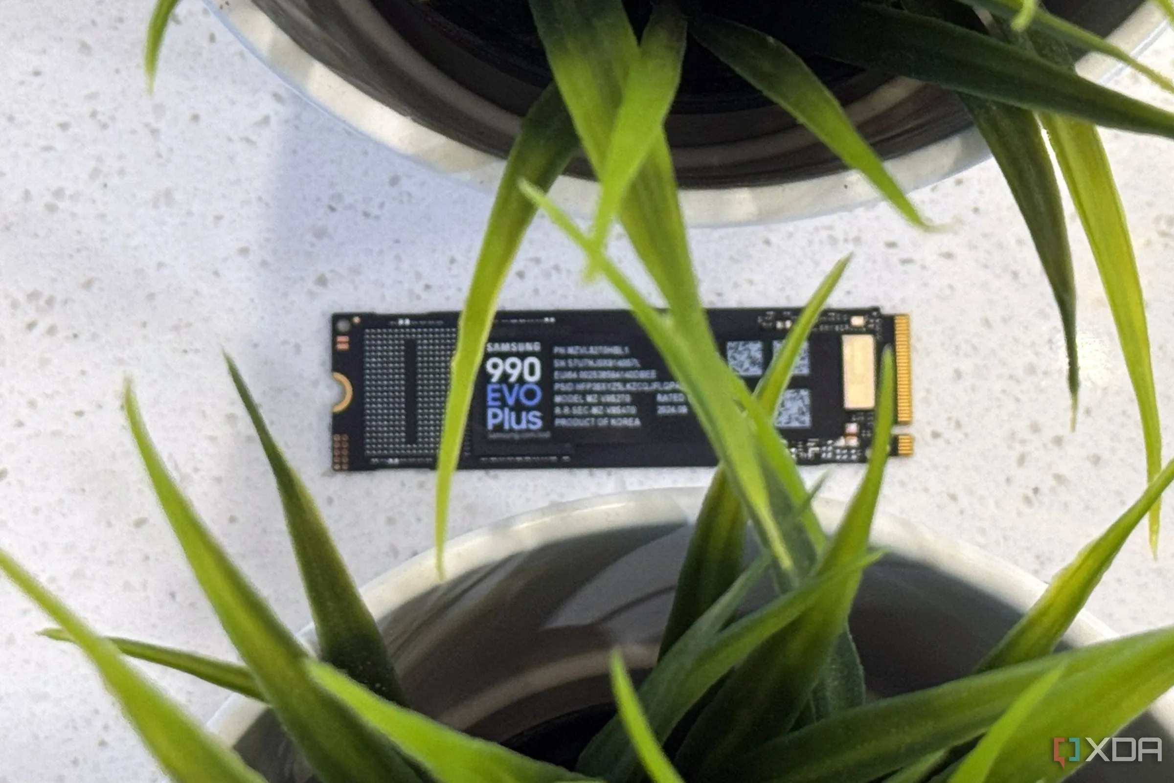 Ổ cứng SSD Samsung 990 EVO Plus đặt cạnh hai chậu cây, tượng trưng cho tầm quan trọng của việc duy trì không gian trống để tối ưu tốc độ và tuổi thọ SSD trong hệ thống chơi game.