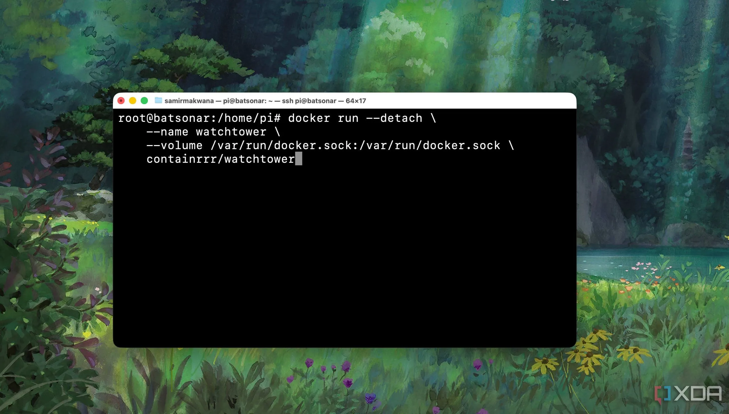 Ví dụ lệnh docker run trên Terminal, minh họa cách triển khai Docker container bằng dòng lệnh
